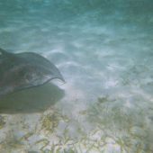  Lighthouse Reef, Belize